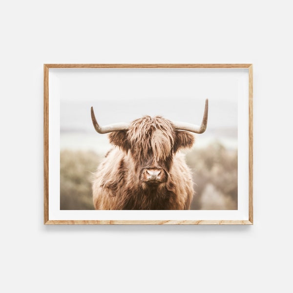 Hoogland koe print, digitale download, boerderij dierenprint, hoogland koe kunst aan de muur, kunst aan de muur boerderij, hoogland koe poster, instant download