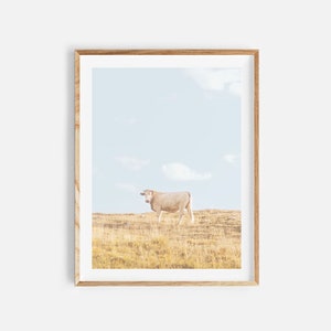 farmhouse print, digital download, cow print, farm animal print, cow wall art, farmhouse decor, animal photography, cow poster, farm decor