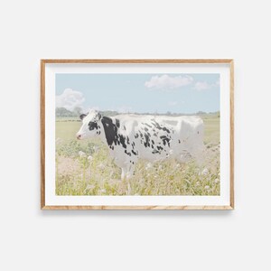 cow print, digital download, cow photography, cow wall art print, farm animal photo, farmhouse wall art, cute cow art, instant download