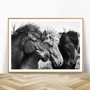 Horses print, horses poster, black and white horse photography, instant download, horse printable art, modern horse wall art, horse photo