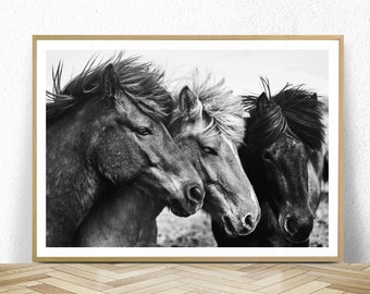 Horses print, horses poster, black and white horse photography, instant download, horse printable art, modern horse wall art, horse photo