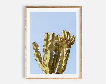 cactus print, digital download, desert photography, printable cactus, south western wall art, boho decor, arizona poster, instant download