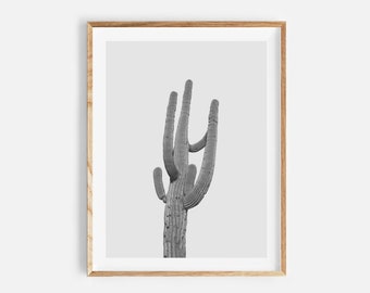 cactus poster, cactus digital print, south western printable wall art, arizona print, cactus printable, large poster, instant download