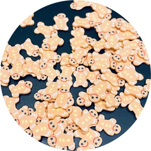 Fake Gingerbread Sprinkles