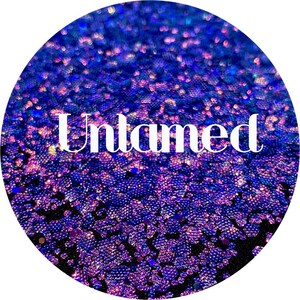 Untamed- Blue and Purple Textured Color Shift Chunky Mix Polyester Glitter