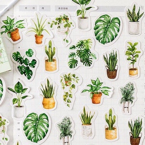 Watercolor Potted Plant Stickers, Succulents, Cactus, 45 pc
