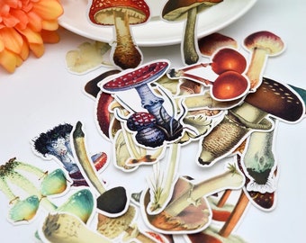 25 Vintage Mushroom Stickers, Botanical Journal Flakes