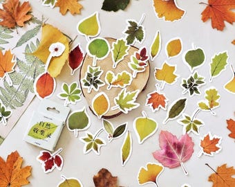 Pegatinas de hojas de otoño: calcomanías de plantas otoñales para planificadores