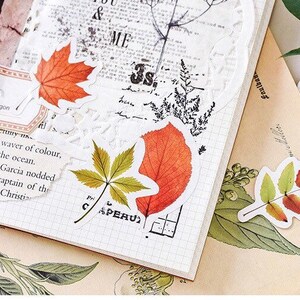 Autumn Leaf Stickers Plant Stickers Pack Cute Fall Leaves Stickers ...