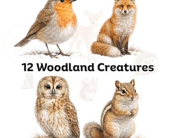 May include: A collection of illustrations featuring a robin, a fox, an owl, and a chipmunk, with the text 12 Woodland Creatures centered in black. The animals are rendered in realistic detail with natural brown, orange, and white color tones.