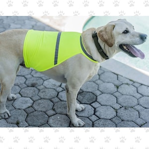 Puede incluir: Un chaleco de seguridad amarillo con tiras reflectantes para perros. El chaleco lo lleva puesto un perro marrón claro de pie en un patio de piedra gris.