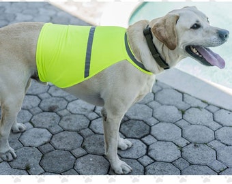 Gilet de sécurité réfléchissant - Tissu néon léger - Pour chiens petits, moyens et grands (S-L) - Personnalisation gratuite incluse