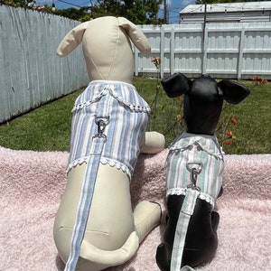 Striped Cotton Dog Harness Vest with Leash: Crochet Trim, Small Dogs