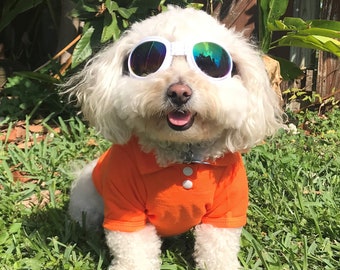 Polo Shirts - Free Embroidered Name - Made For Smaller Sized  Dogs, (approx 3 to 23 pounds) Stretch Cotton, Multiple Colors (XS-XL)