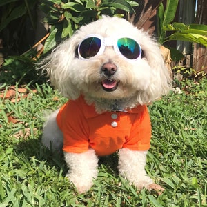 Polo Shirts - Free Embroidered Name - Made For Smaller Sized  Dogs, (approx 3 to 23 pounds) Stretch Cotton, Multiple Colors (XS-XL)