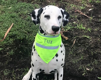 Personalized Reflective Dog Bandana: Neon Safety Bandana
