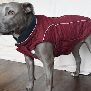 Lightweight Quilted Jacket with harness zipper, Water Resistant, Soft Feel, 5 colors SM, Med. & Lg Dogs, Free Personalization XS-3XL image 1