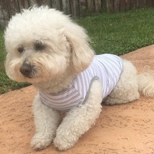 May include: A white fluffy dog wearing a striped grey and white tank top. The dog is lying on a brown surface.