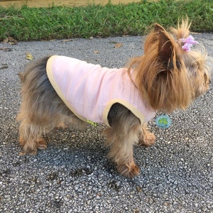 Cotton Stretch Striped Shirt in pink options - textures stripe, plain stripe and polka dot For Small Dogs ( XS-L).  Free Personalization