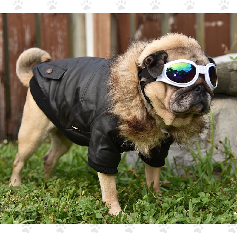 Bomber Jacket Black or Wine, For Small & Medium Sized Dogs, Snap Closures, Soft Furry Fleece Lining SM-2XL image 1