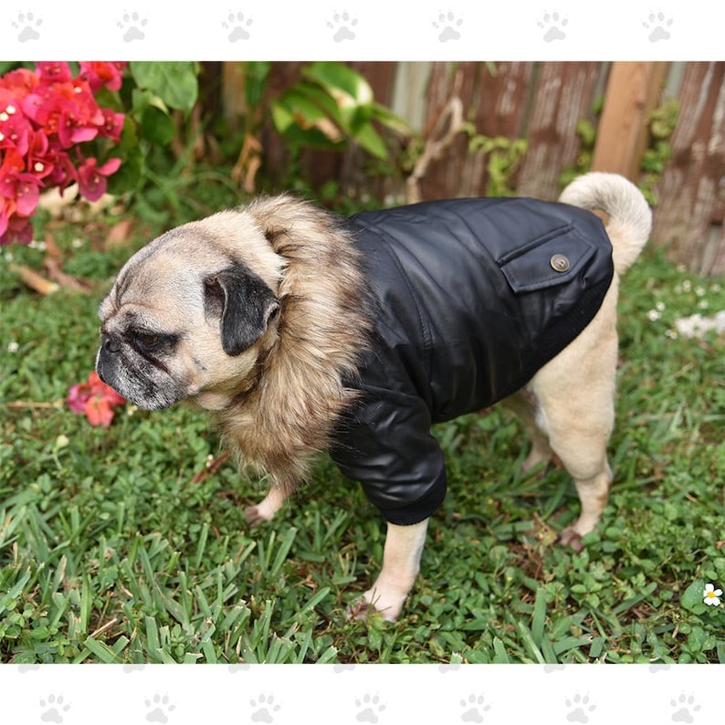 For Small /& Medium Sized Dogs SM-2XL Bomber Jacket Black or Wine Soft Furry Fleece Lining Snap Closures