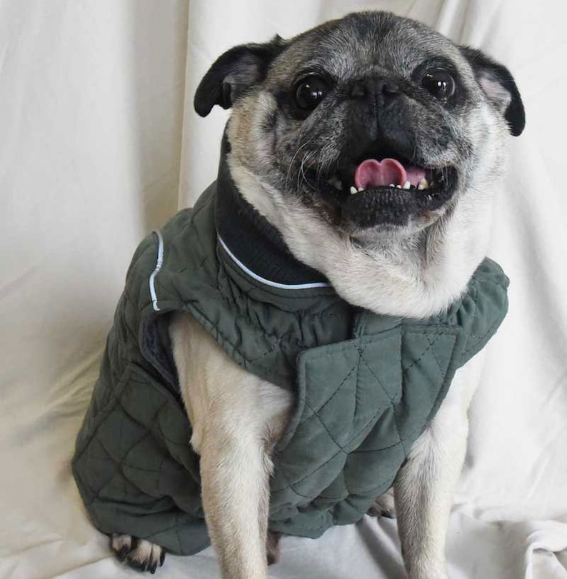 Lightweight Quilted Jacket with harness zipper, Water Resistant, Soft Feel, 5 colors SM, Med. & Lg Dogs, Free Personalization XS-3XL image 3