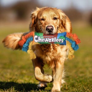 Lasting All in one Dog Toy for all types of chewers soft to tough. Stong durable material, squeaker & rope. Great for teeth and sensory play