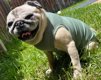 Personalized Waffle Knit Dog Shirt: Comfy Small Dog Apparel with Bear Patch