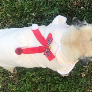 May include: A pug dog wearing a white and red dog costume with a red bow and a bell. The dog is standing on green grass.
