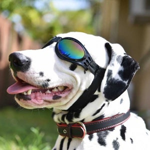 Doggie Sunglasses with UV Protection – Chin Strap, Foldable, works great with water, snow , sun and wind- Multiple Color Options