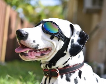 Doggie Sunglasses with UV Protection – Chin Strap, Foldable, works great with water, snow , sun and wind- Multiple Color Options