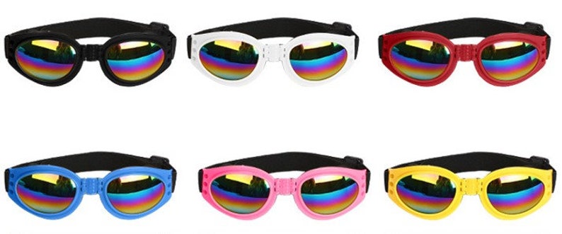 Lunettes de soleil pour chien avec protection UV Mentonnière, pliable, fonctionne parfaitement avec l'eau, la neige, le soleil et le vent Plusieurs options de couleurs image 10