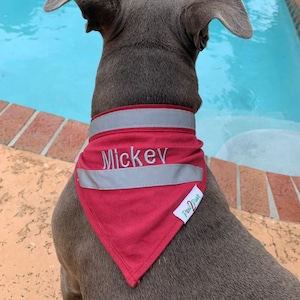 Puede incluir: Un perro gris con un pañuelo rojo con el nombre "Mickey" bordado. El pañuelo tiene una tira reflectante y un logotipo verde "Paw Print".