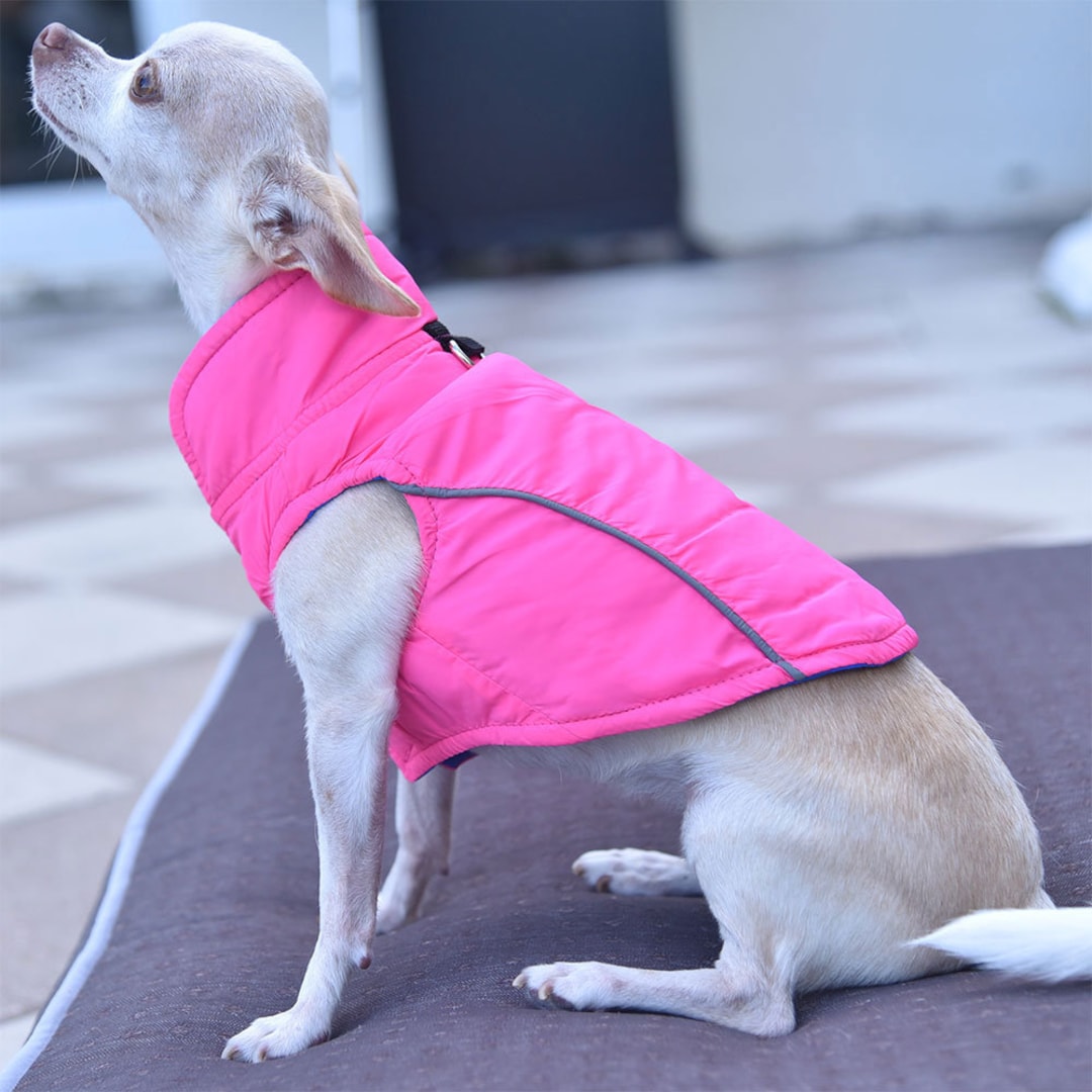 Leichtes Hunde-Shirt Mit Leinen-Ring – Atmungsaktives Sommer-T-Shirt Für Kleine Hunde In Rosa