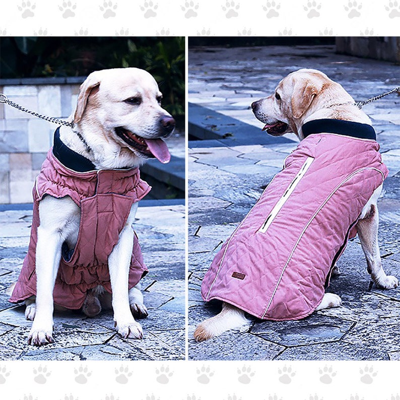 Lightweight Quilted Jacket with harness zipper, Water Resistant, Soft Feel, 5 colors SM, Med. & Lg Dogs, Free Personalization XS-3XL image 9