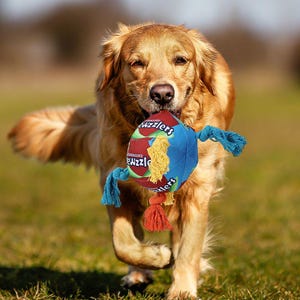 Lasting All in one Dog Toy for all types of chewers soft to tough. Stong durable material, squeaker & rope. Great for teeth and sensory play