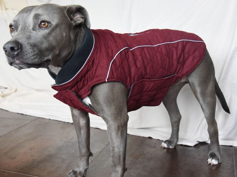 Lightweight Quilted Jacket with harness zipper, Water Resistant, Soft Feel, 5 colors SM, Med. & Lg Dogs, Free Personalization XS-3XL image 1