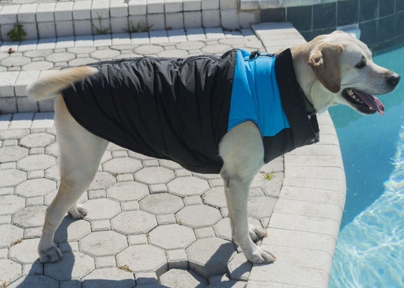 medium sized dog jackets