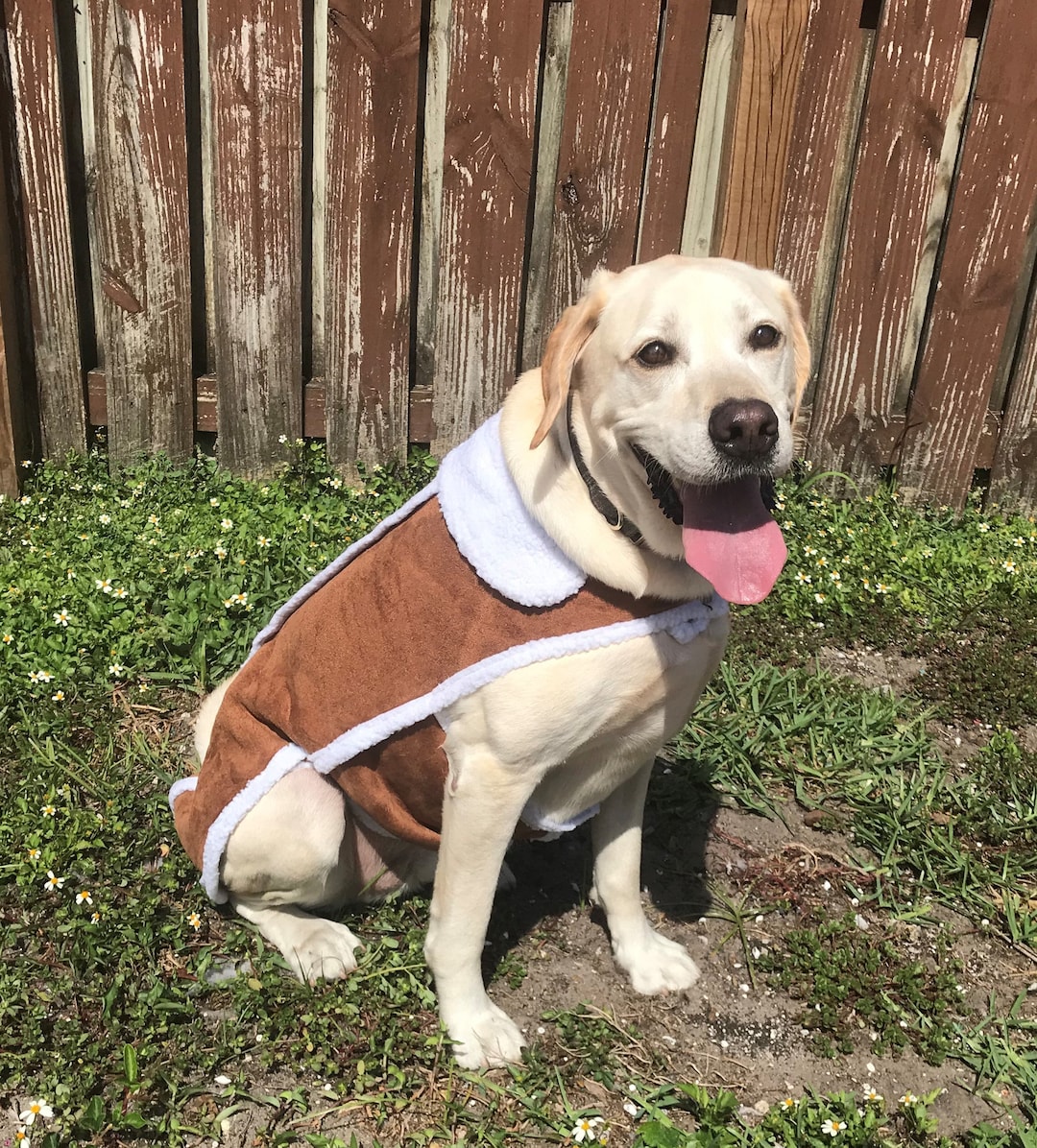 Sherpa Jacket Vest for Medium and Large Sized Dogs Adjustable Snap