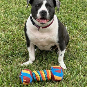 Lasting All in one Dog Toy for all types of chewers soft to tough. Stong durable material & rope. Great for teeth, anxiety, and sensory play