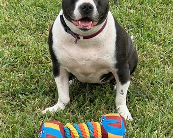 Durable Dog Toy: Rope, Squeaker, Teeth & Sensory Play