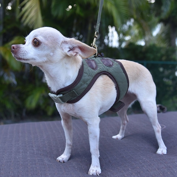 great and small harness