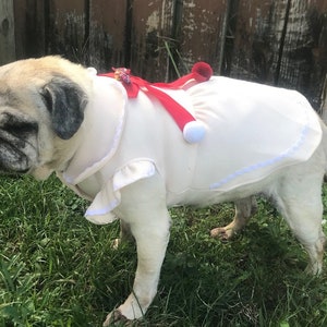 May include: A pug dog wearing a white dress with red and white trim and a red bow. The dog is standing on green grass.