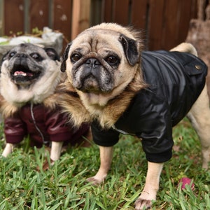 Bomber Jacket Black or Wine, For Small & Medium Sized Dogs, Snap Closures, Soft Furry Fleece Lining SM-2XL image 3