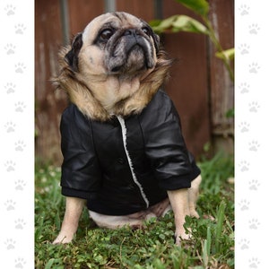 Bomber Jacket Black or Wine, For Small & Medium Sized Dogs, Snap Closures, Soft Furry Fleece Lining SM-2XL image 6