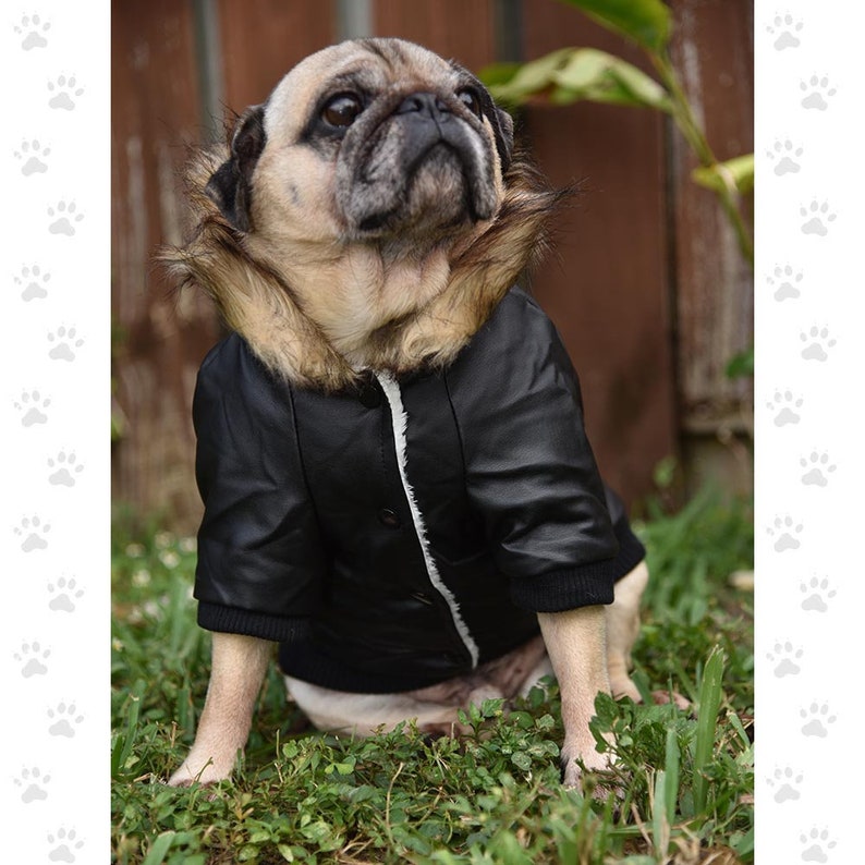 Bomber Jacket Black or Wine, For Small & Medium Sized Dogs, Snap Closures, Soft Furry Fleece Lining SM-2XL image 6