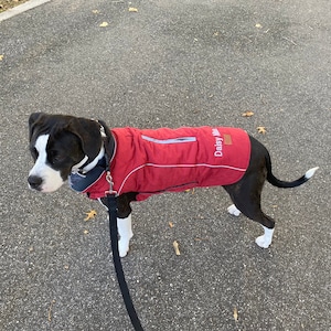 Lightweight Quilted Jacket with harness zipper, Water Resistant, Soft Feel, 5 colors SM, Med. & Lg Dogs, Free Personalization XS-3XL image 5