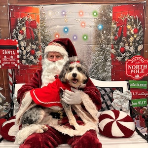 Personalized Christmas Dog Dress: Holiday Jingle Bell Outfit (XS-XL) image 3