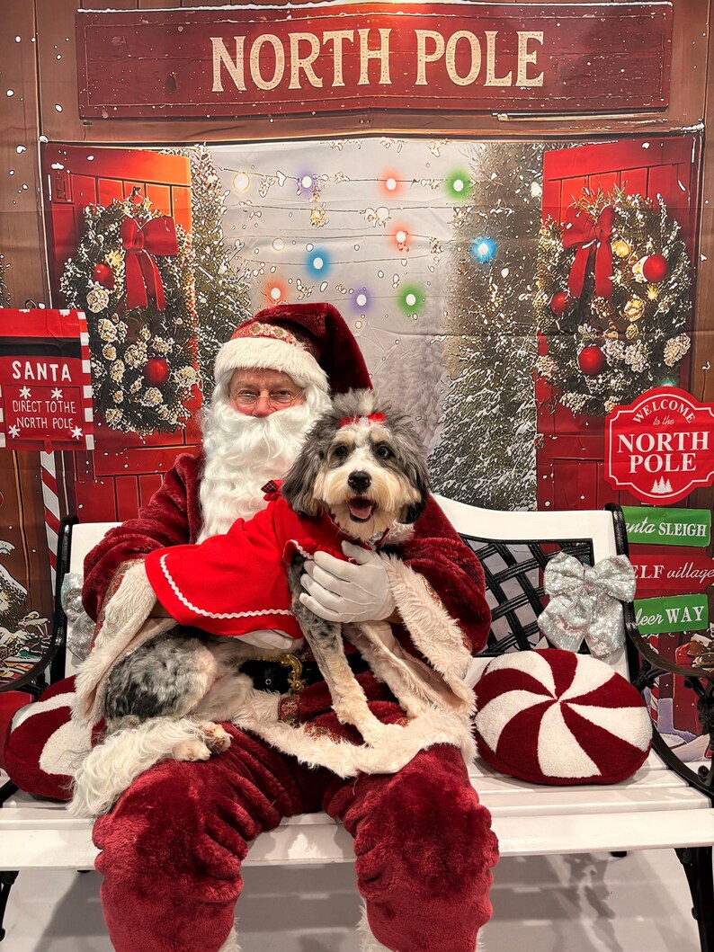 Personalized Christmas Dog Dress: Holiday Jingle Bell Outfit (XS-XL) image 3