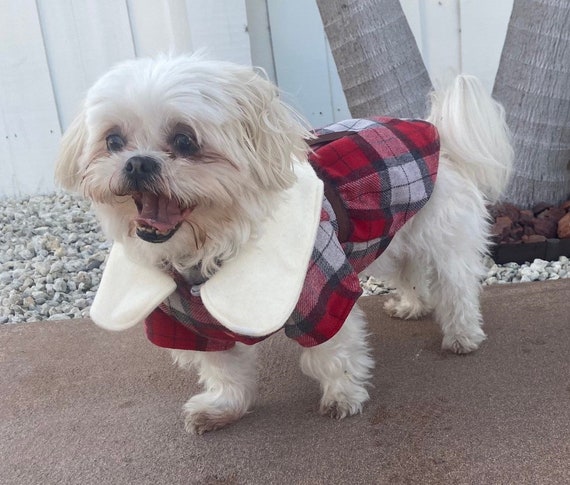 navy blue dress for baby girl The Most Stylish Dog Clothing for Winter to Keep Your Pup Warm – Walkee Paws